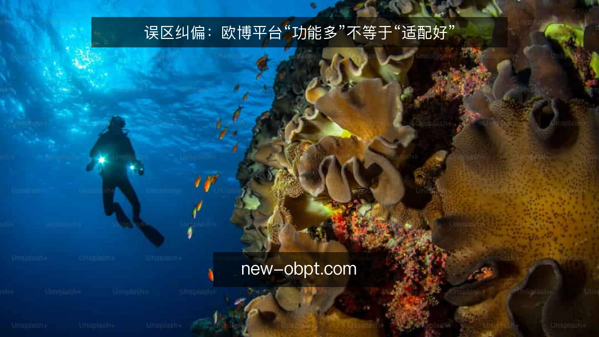 误区纠偏：欧博平台“功能多”不等于“适配好”
