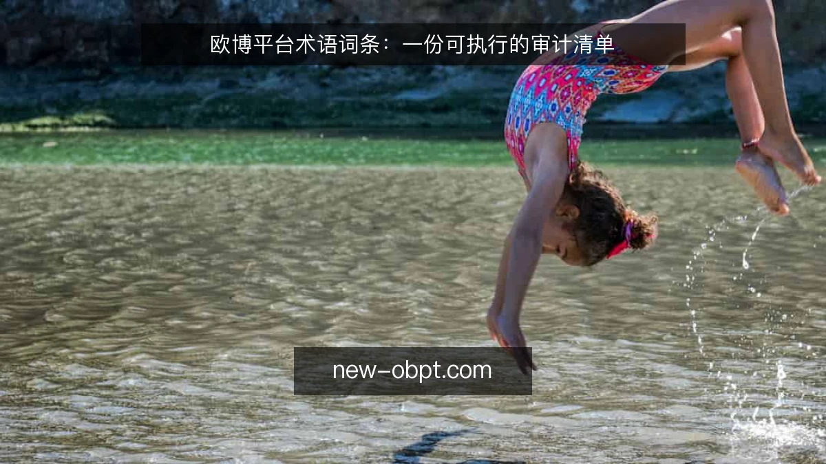 欧博平台术语词条:一份可执行的审计清单