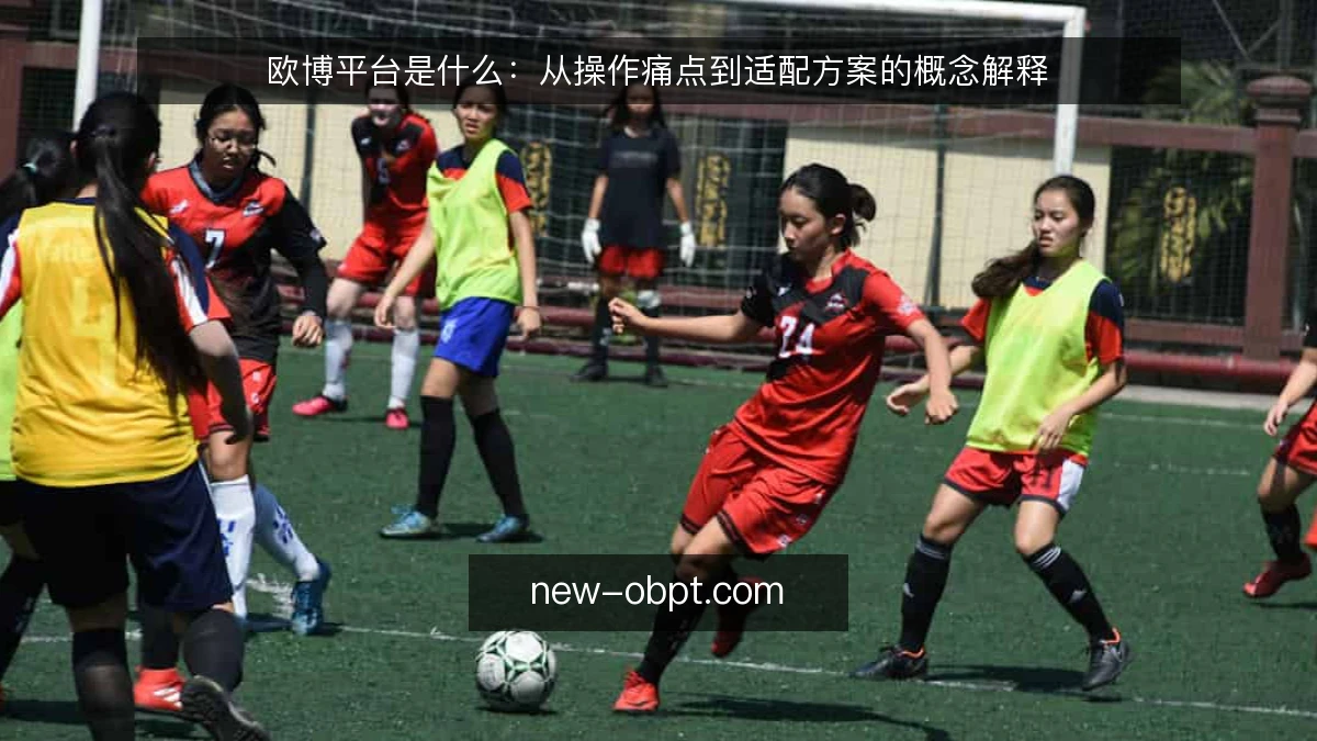 欧博平台是什么：从操作痛点到适配方案的概念解释