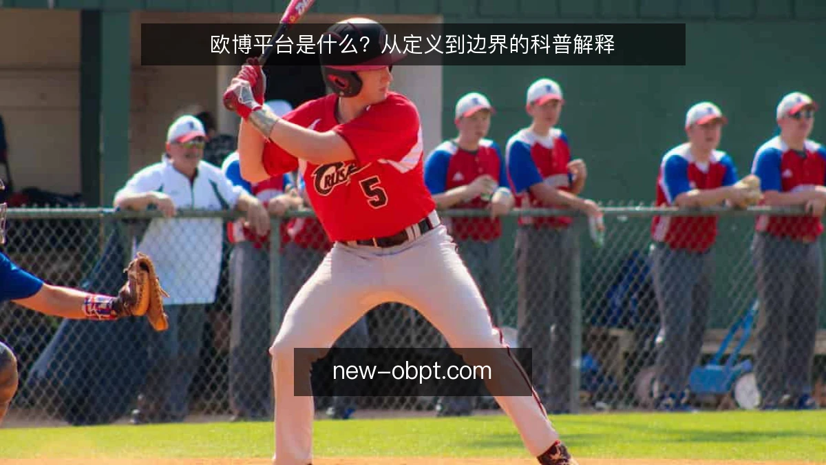 欧博平台是什么？从定义到边界的科普解释