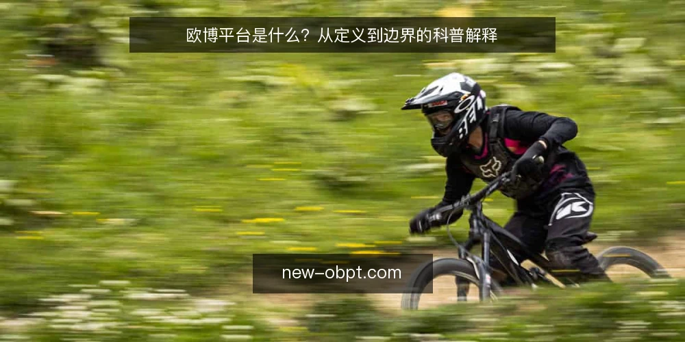欧博平台是什么？从定义到边界的科普解释 — 先厘清定义：欧博平台到底指什么 配图